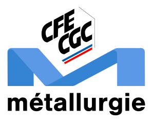 Formation Métallurgie CFE-CGC